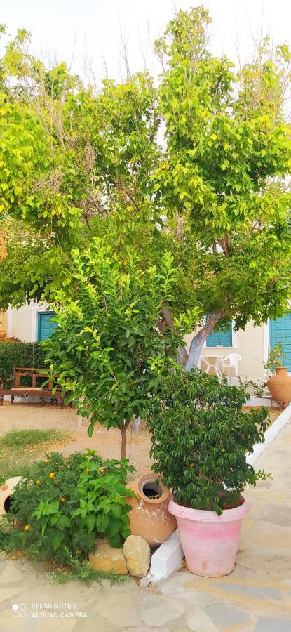 Socrates Sea View Apartment Kampos Marathokampou Exterior photo